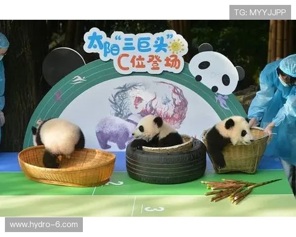 利用熊猫体育app实现多场体育赛事直播同步观看的详细操作指南